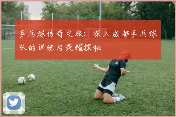 乒乓球传奇之旅：深入成都乒乓球队的训练与荣耀探秘