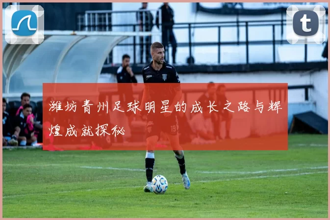 潍坊青州足球明星的成长之路与辉煌成就探秘