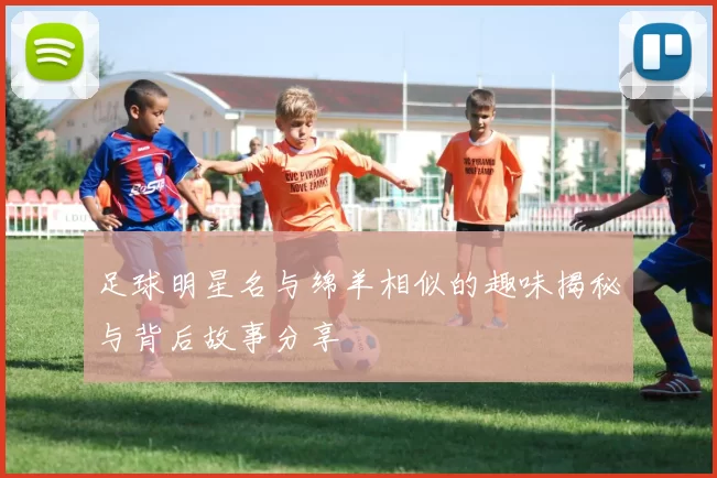 足球明星名与绵羊相似的趣味揭秘与背后故事分享