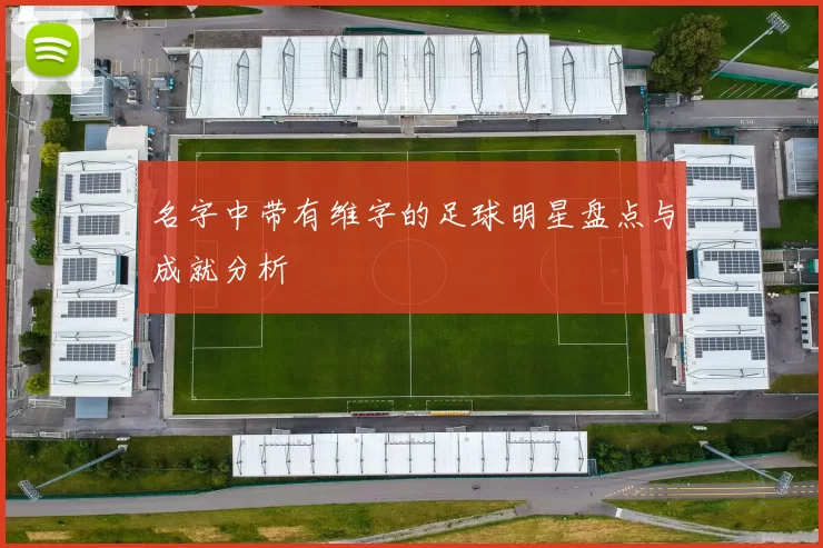 名字中带有维字的足球明星盘点与成就分析