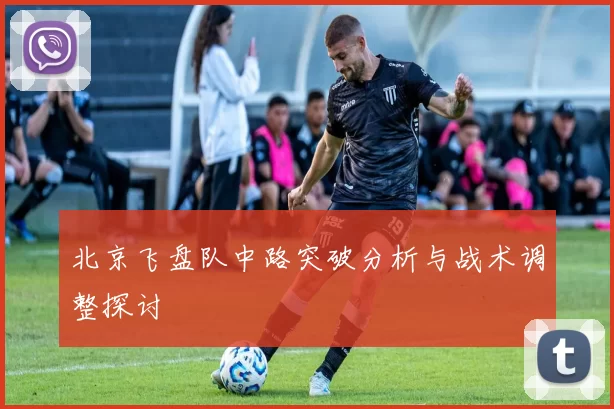 北京飞盘队中路突破分析与战术调整探讨