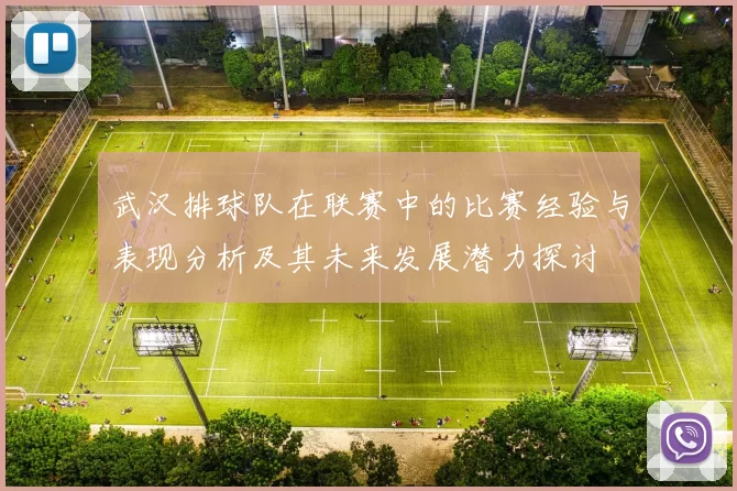 武汉排球队在联赛中的比赛经验与表现分析及其未来发展潜力探讨