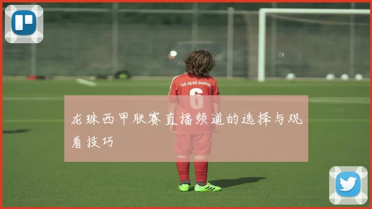 龙珠西甲联赛直播频道的选择与观看技巧